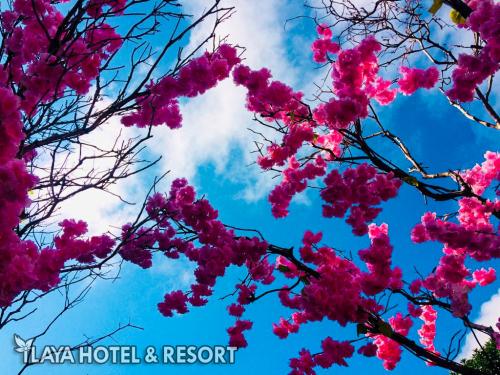 WhatsApp Image 2021-09-17 at 16.42.59 (2)