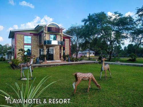 IMG 20200725 152514 (1)