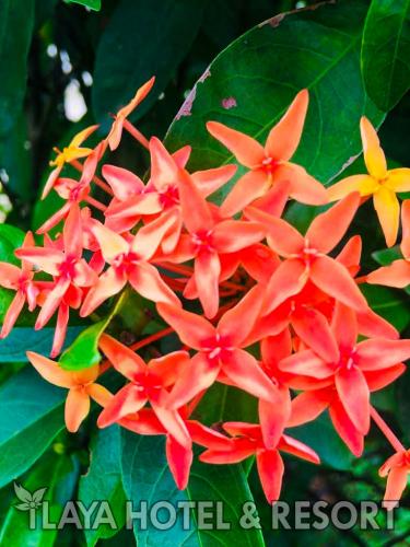 SAVE 20200613 190824