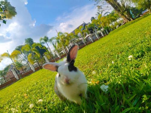 WhatsApp Image 2020-07-10 at 18.20.19